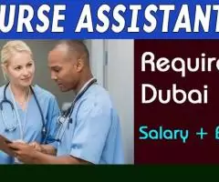 Nurse Assistant Required in Dubai