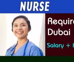 Nurse Required in Dubai