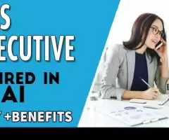 Sales Executive Required in Dubai