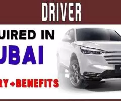 DRIVER Required in Dubai -