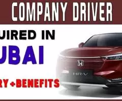 COMPANY DRIVER Required in Dubai