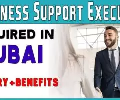 Business Support Executive Required in Dubai