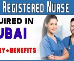 Registered Nurse Required in Dubai