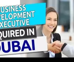 Business Development Executive Required in Dubai