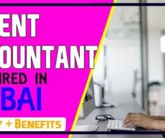 Urgent Accountant Required in Dubai