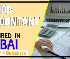 Junior Accountant Required in Dubai