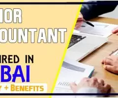 Senior Accountant Required in Dubai