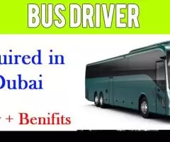 Bus Driver Required in Dubai