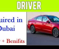 Driver Required in Dubai