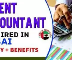 Urgent Accountant Required in Dubai