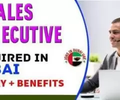 IT Sales Executive Required in Dubai