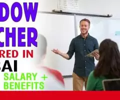 Shadow Teacher Required in Dubai