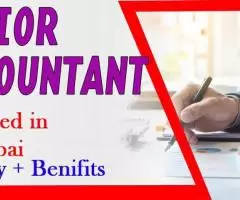 Senior Accountant Required in Dubai