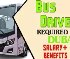 Bus Driver Required in Dubai