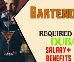 Bartender Required in Dubai