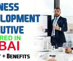 Business Development Executive Required in Dubai