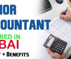 Junior Accountant Required in Dubai