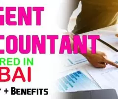 Urgent Accountant Required in Dubai