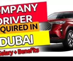 Company Driver Required in Dubai