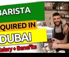 Barista Required in Dubai