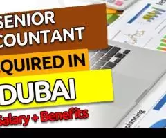 Senior Accountant Required in Dubai