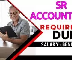 Sr Accountant Required in Dubai -