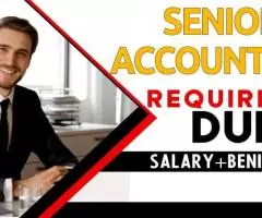 Senior Accountant Required in Dubai