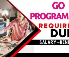 Go programming Required in Dubai