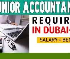 Junior Accountant Required in Dubai -