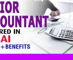 Junior Accountant Required in Dubai