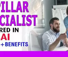 IT Pillar Specialist Required in Dubai