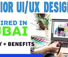 Junior UI/UX Designer Required in Dubai