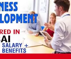 Business Development Required in Dubai