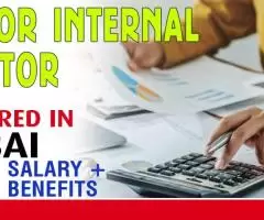 Senior Internal Auditor Required in Dubai -