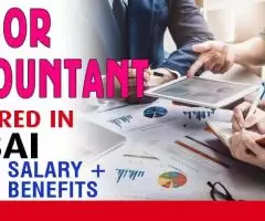 Senior Accountant Required in Dubai