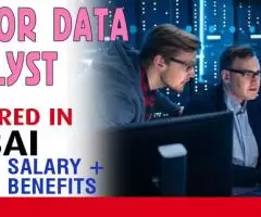 Senior Data Analyst Required in Dubai