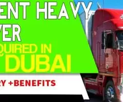 Urgent Heavy Driver Required in Dubai