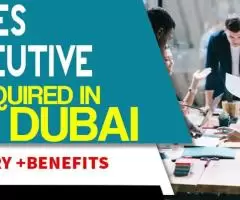 Sales Executive Required in Dubai