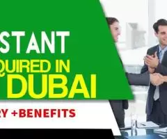 Human Resources Assistant Required in Dubai