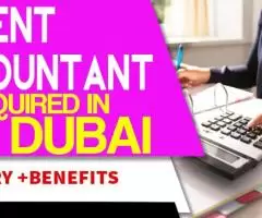 Urgent Accountant Required in Dubai -