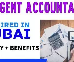 Urgent Accountant Required in Dubai