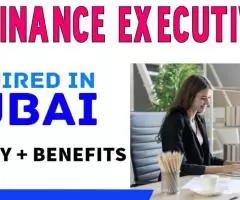 Finance Executive Required in Dubai