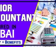 Junior Accountant Required in Dubai