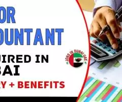 Senior Accountant Required in Dubai