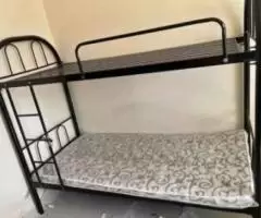 saling bunker bed