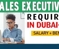 Sales Executive Required in Dubai