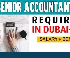 Senior Accountant Required in Dubai -