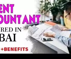 Urgent Accountant Required in Dubai