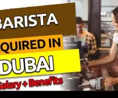 Barista Required in Dubai