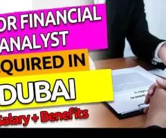 Senior Financial Analyst Required in Dubai